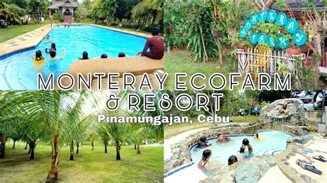 monteray ecofarm and resort|Monteray Ecofarm and Resort .